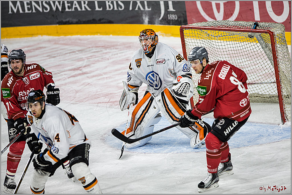 DEL, Koelner Haie - Grizzlys Wolfsburg, 17.03.2017
